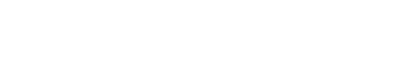 RoExp logo - web design client in Timisoara