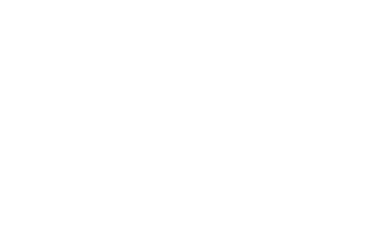 Timi logo - ProjectMedia web design client in Timisoara