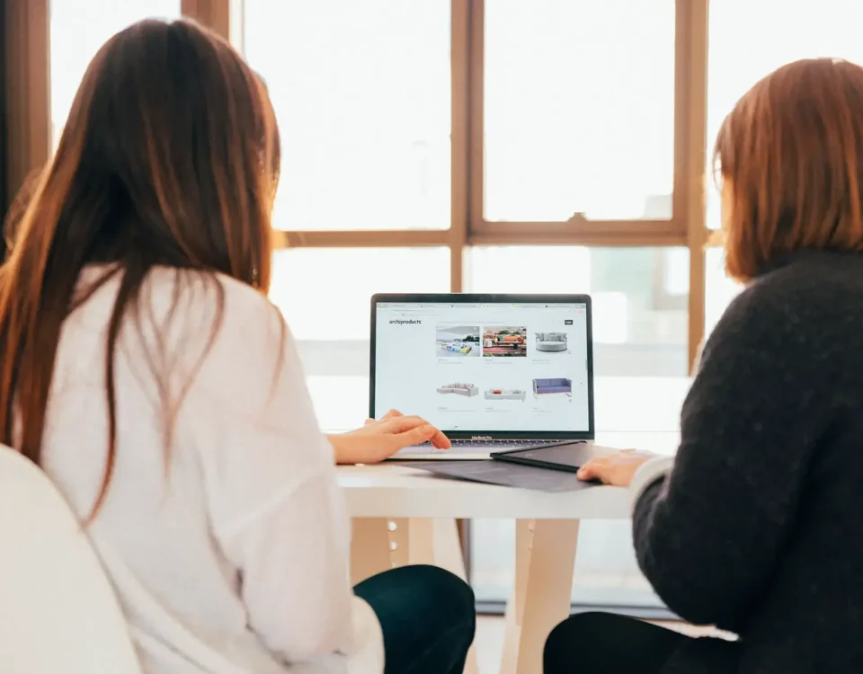 Curs Web Design Timișoara – Pasiune transformată în carieră
