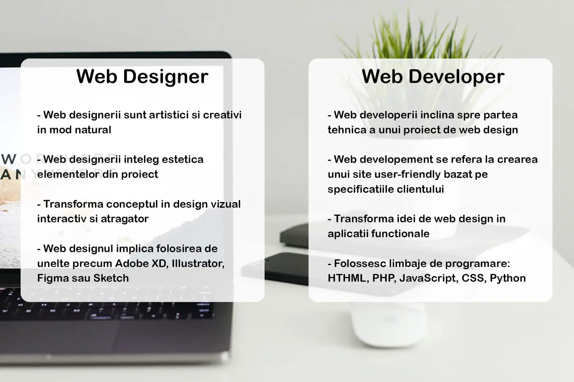 Website Developer vs Website Designer: Care este diferența?