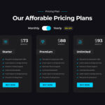 Preturi Web Design Timisoara 2025