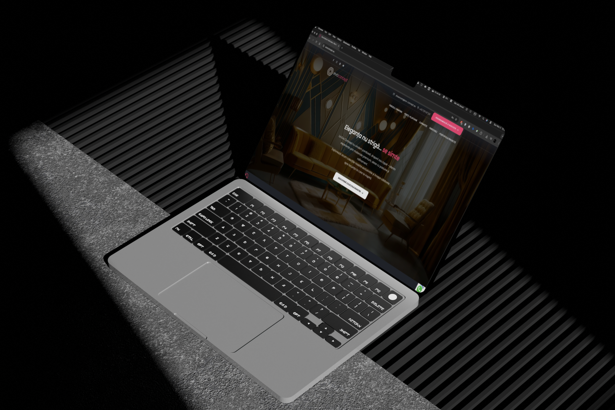 Web Design Timisoara - Evo Concept